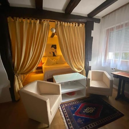 River Side Appartment Huningue Zewnętrze zdjęcie